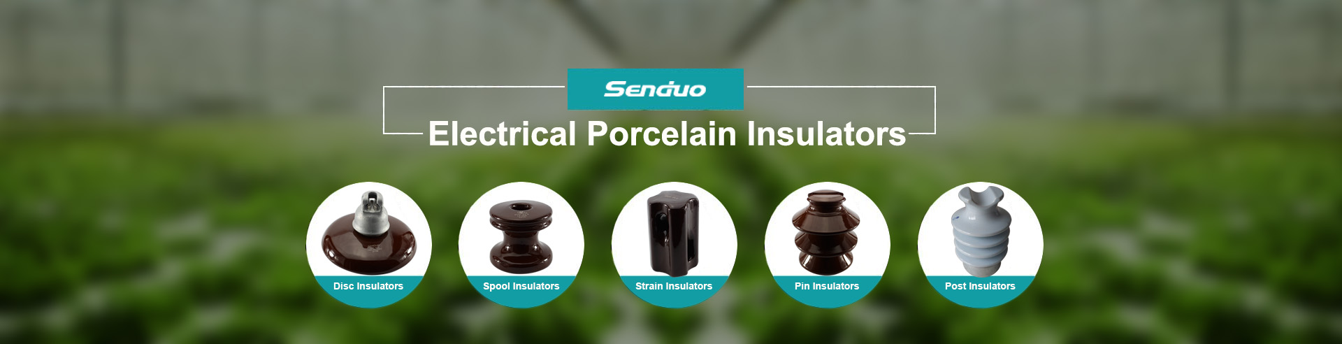 porcelain insulator